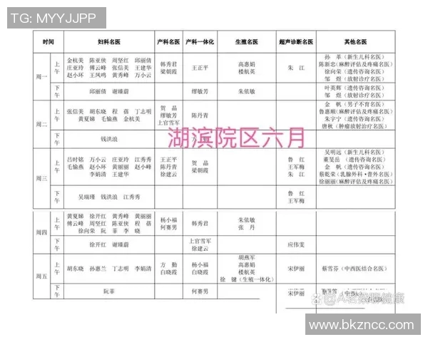 英超专家分析杭州羽毛球队独特进攻战术与技巧解析